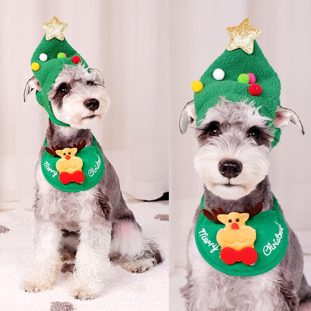 Merry Dogmas™ | Kerstpakje Voor Honden